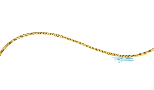 Located Water Leak Cable